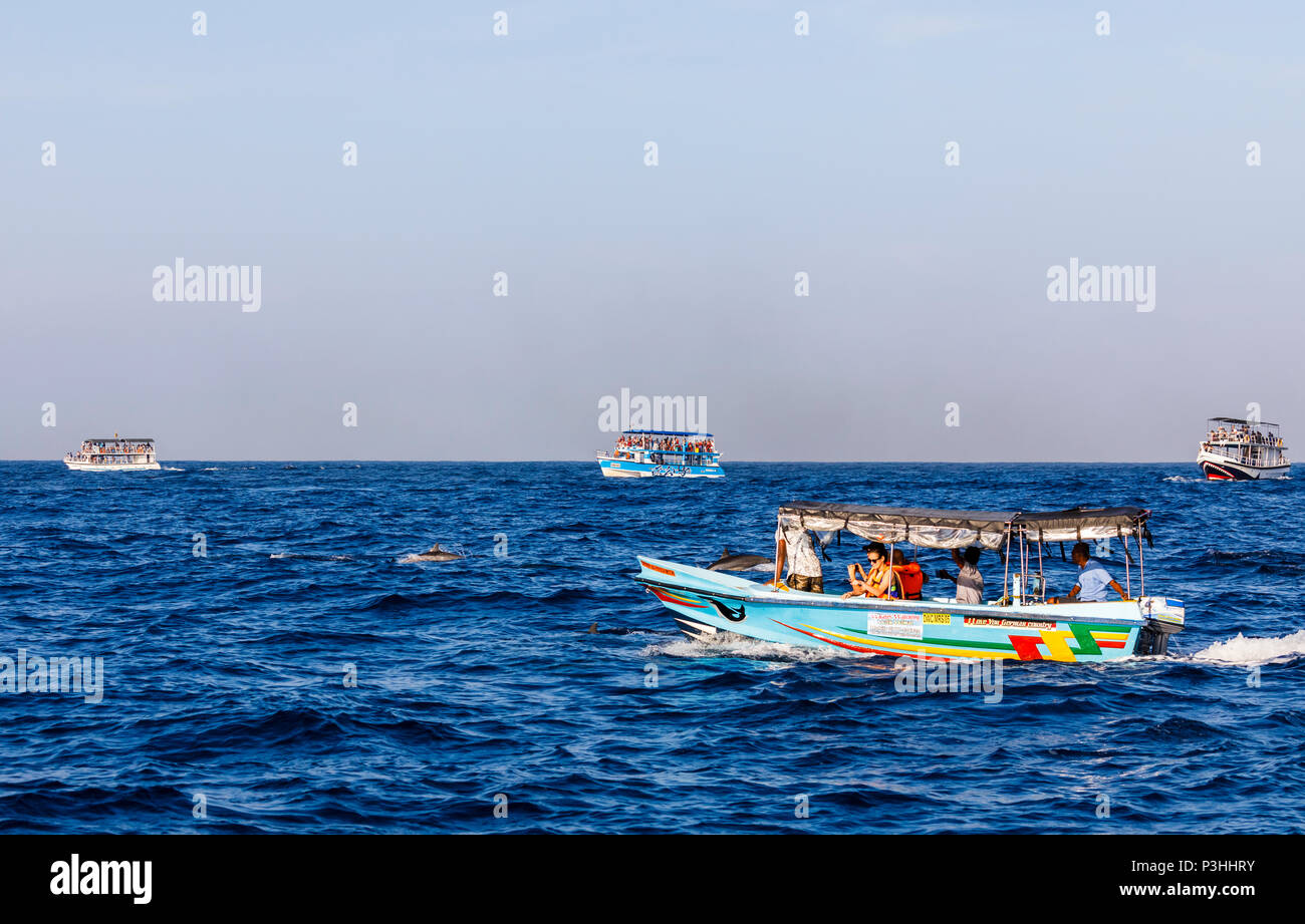 Tourist whale watching barche in mare ricco di turisti in cerca di Blue balene e delfini off Weligama, nel sud dello Sri Lanka in una giornata di sole Foto Stock