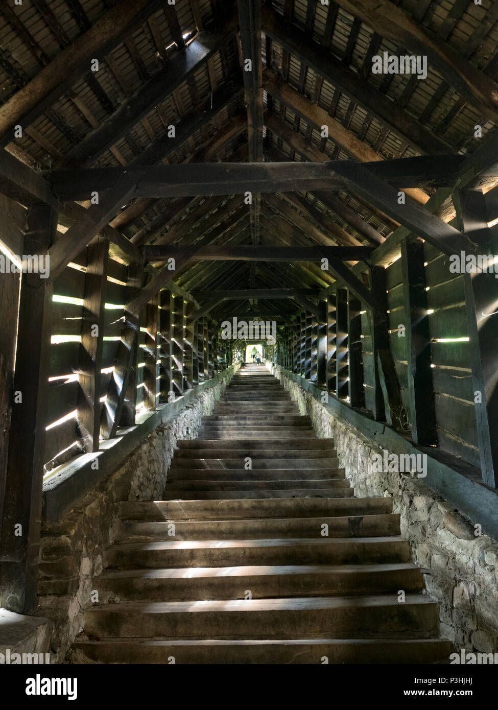 Coperta vecchia scalinata in Sighisoara, Romania Foto Stock