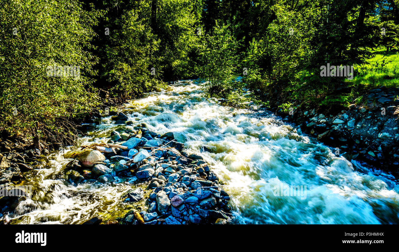 La molla Run-Off in un torrente lungo la Heffley-Louis Creek Road tra redcraig e Barierre nell'Shuswap altipiani della British Columbia, Canada Foto Stock