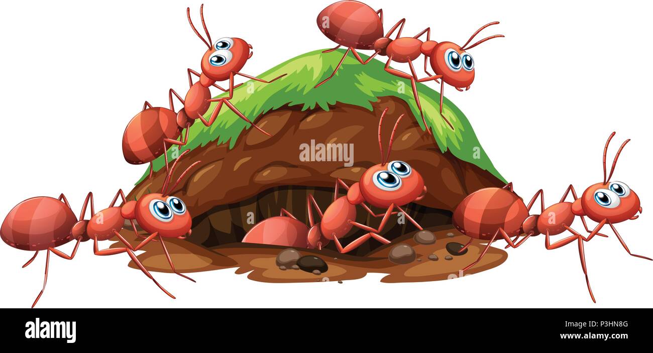 Un Rosso Fuoco formiche e illustrazione del foro Illustrazione Vettoriale