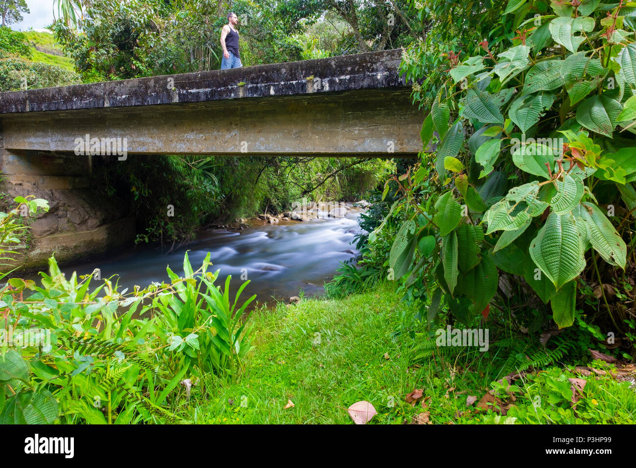 Il paesaggio nei pressi di un fiume in Jericó, Antioquia, Colombia Foto Stock