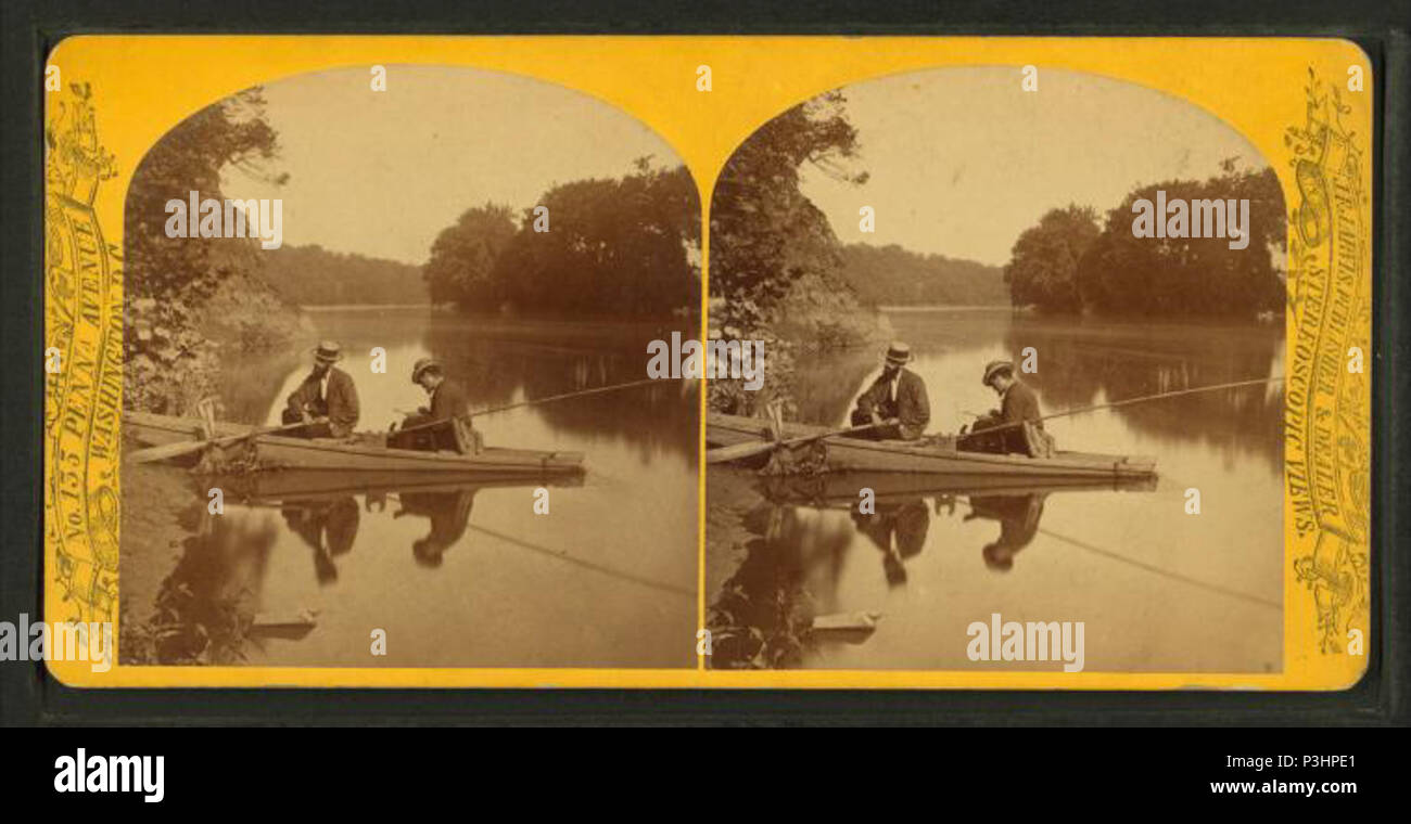 . Viste sul Potomac, palla di Bluff. Creato: 1865-1885. Copertura: 1865-1885. Fonte Imprint: 1865?-1885?. Elemento digitale pubblicata 12-1-2005; aggiornato 2-12-2009. 371 viste sul Potomac, palla di Bluff, da Robert N. Dennis raccolta di vista stereoscopica Foto Stock