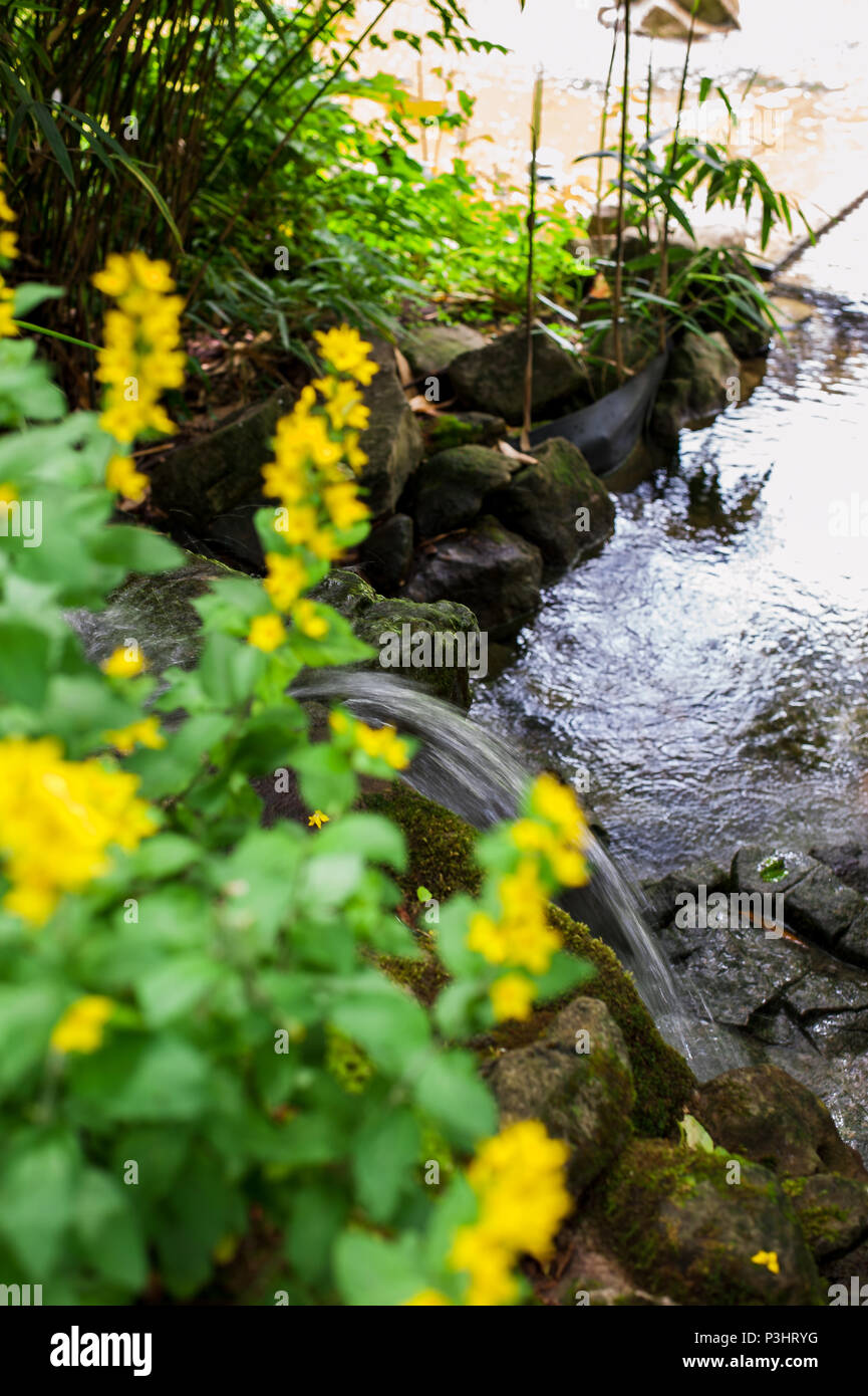 Piccola cascata artificiale nel parco pubblico, Lussemburgo Foto Stock