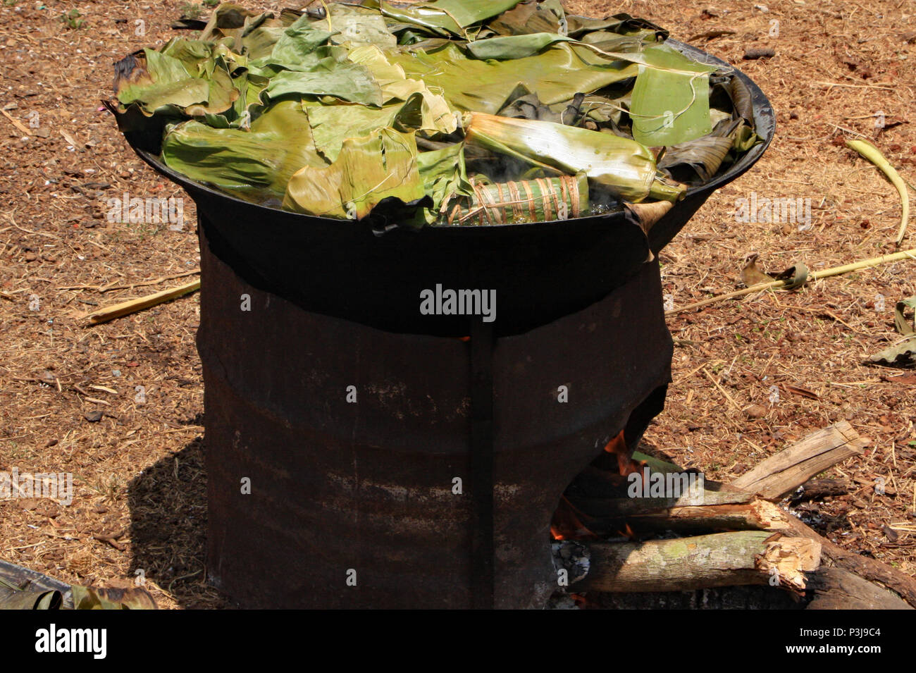 La cottura per un cambogiano di matrimonio è fatto fuori oltre i fuochi aperti. Qui foglie di banano sono utilizzati come una forma di coperchio durante la cottura banana leaf pacchi. Foto Stock