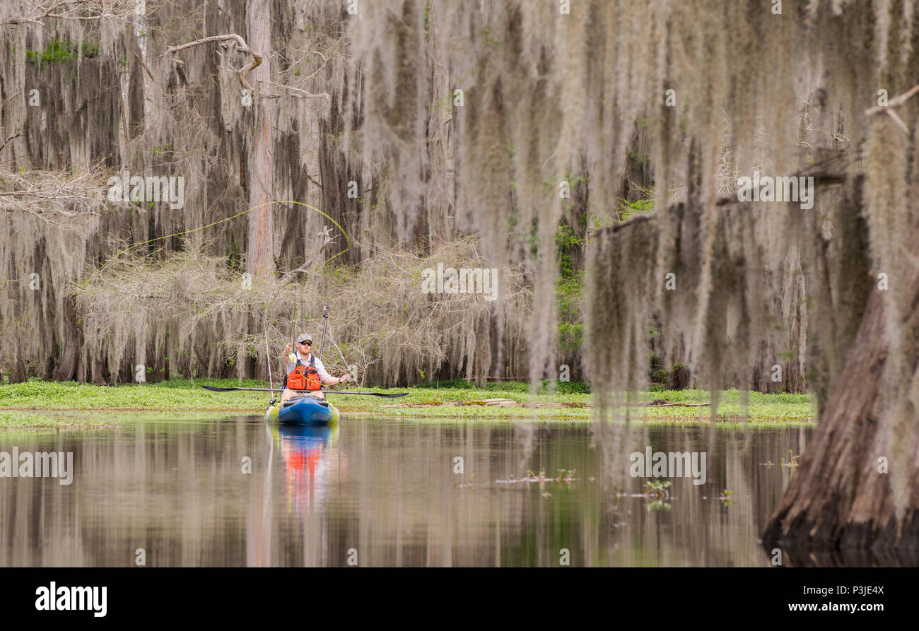 Il pescatore di Pesca a Mosca Report di Pesca dal kayak, Caddo Lake, Texas, Stati Uniti d'America Foto Stock
