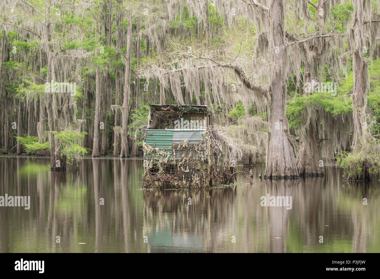 La caccia alla cieca nel lago, Texas, Stati Uniti d'America Foto Stock
