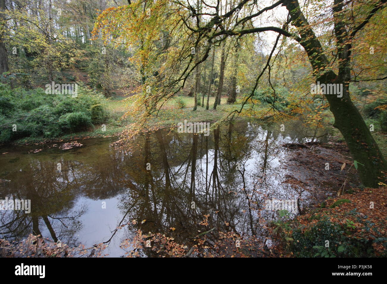 Parc Glynllifon Foto Stock