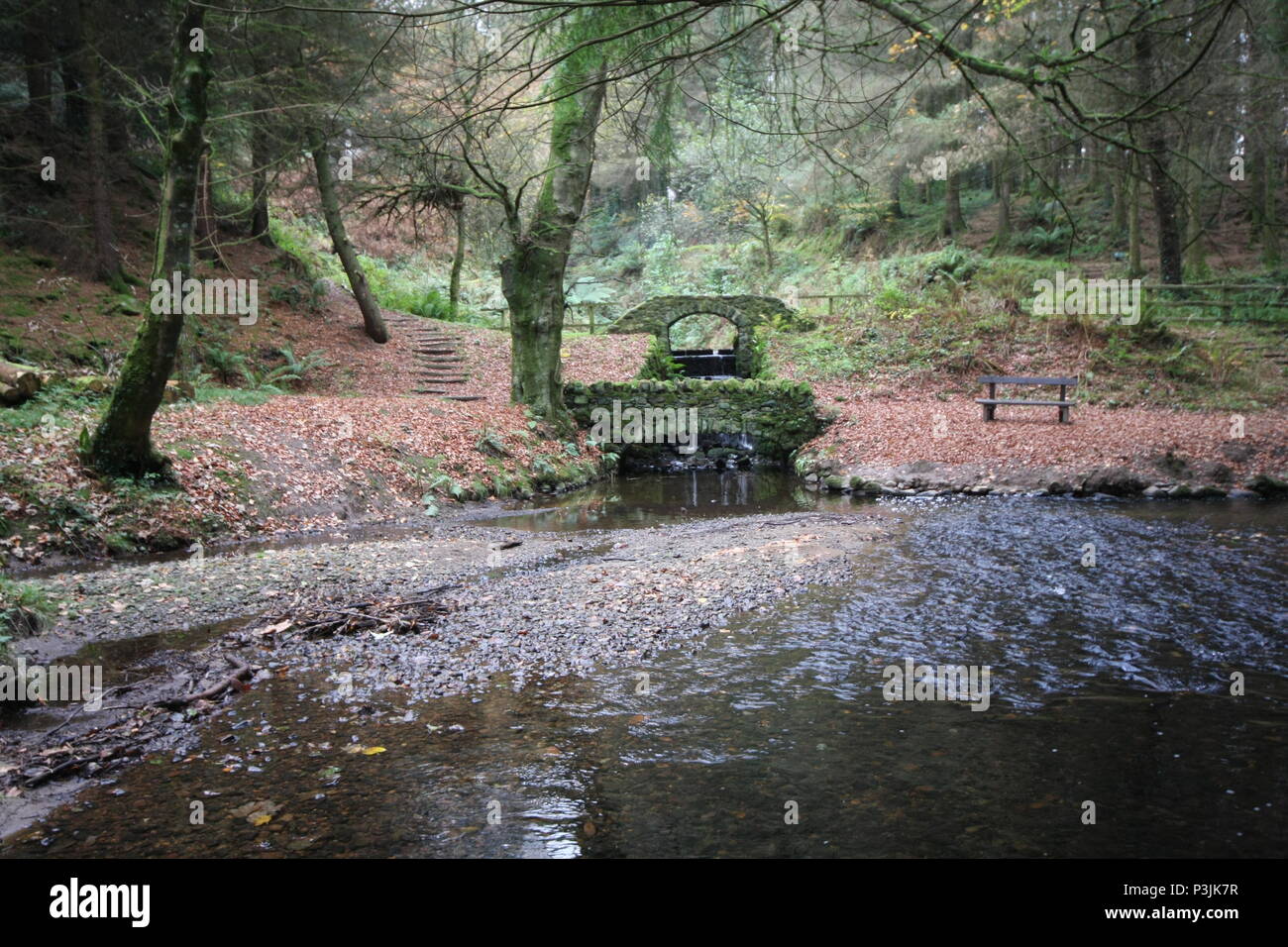 Parc Glynllifon Foto Stock