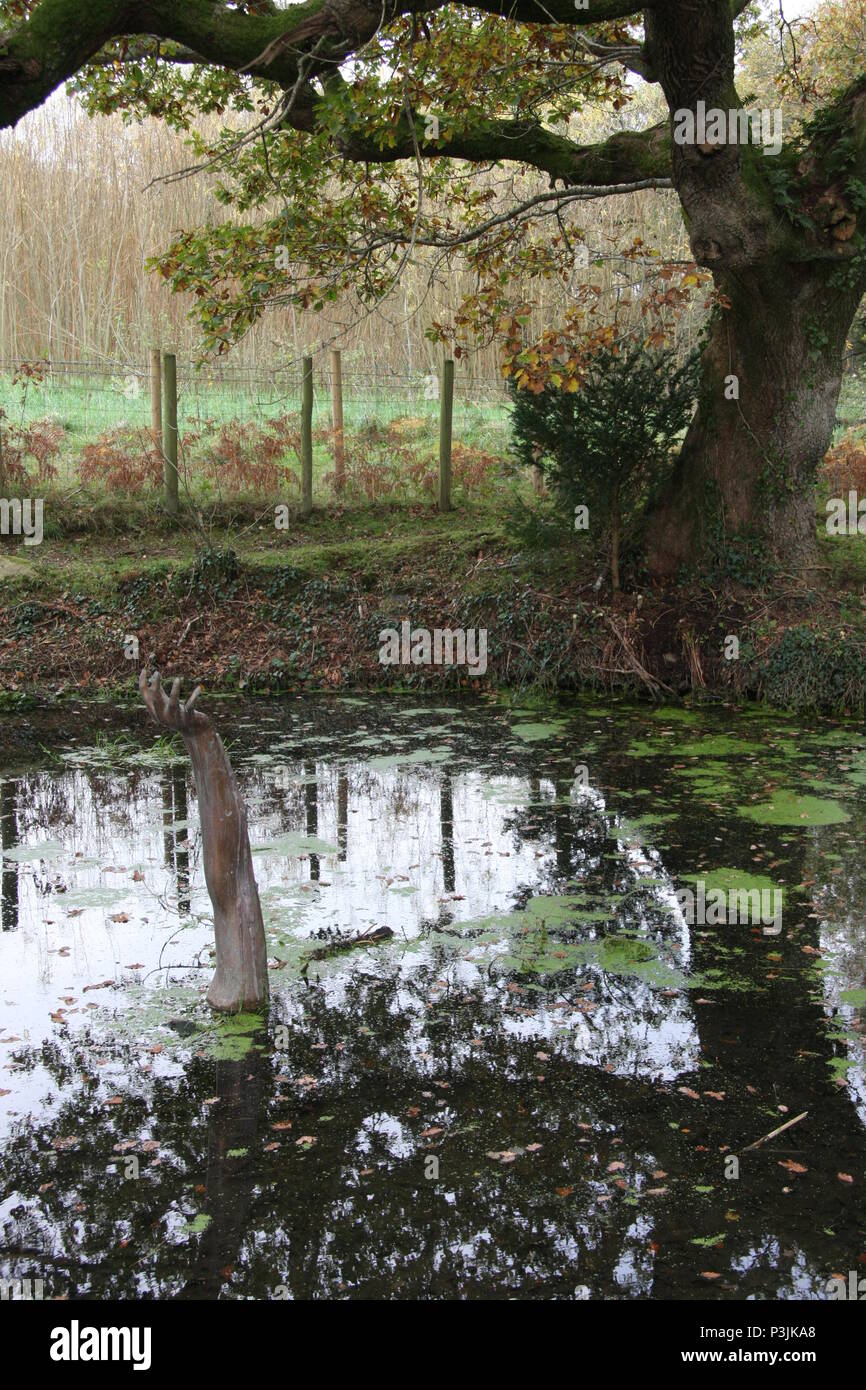 Parc Glynllifon Foto Stock