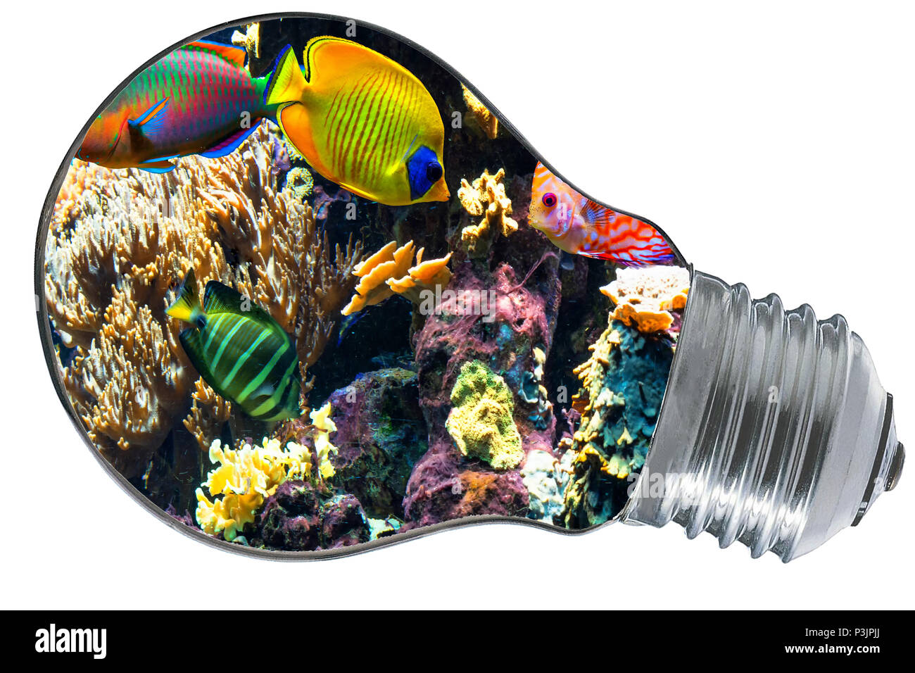 Colorati pesci belli e paesaggi subacquei all'interno di una lampadina elettrica. Foto Stock