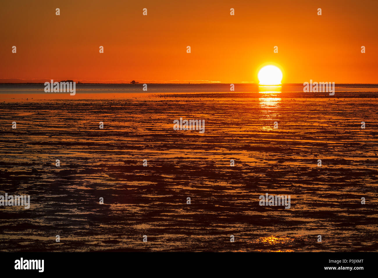 Alba sulla costa del Mare del Nord dell'isola Amrum, Germania. Foto Stock
