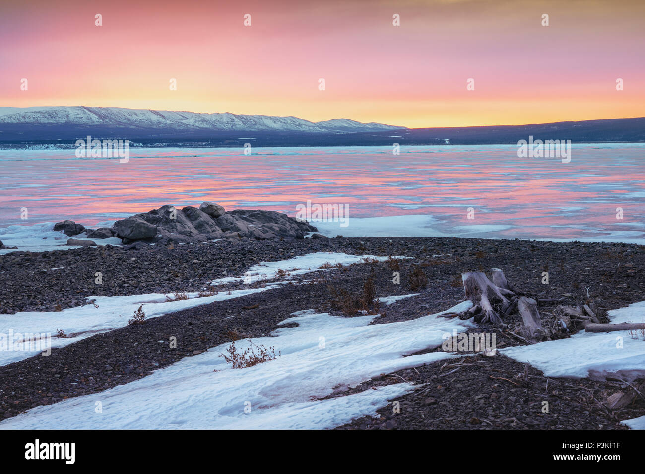 Lago Kluane mattina shot luce rosa lago ghiacciato Foto Stock