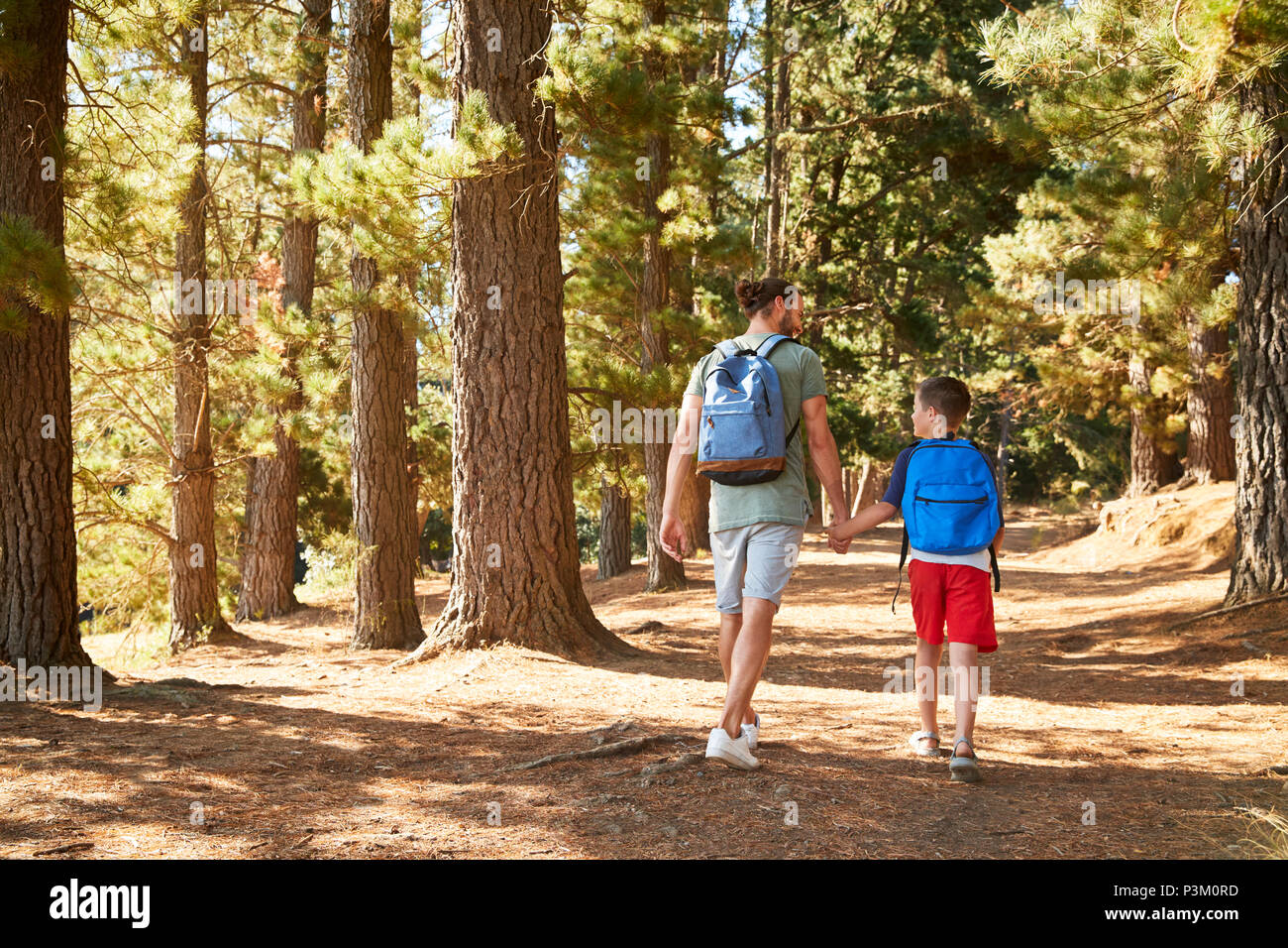 Vista posteriore del padre e figlio su escursioni avventura attraverso la foresta Foto Stock Vista posteriore del padre e figlio su escursioni avventura attraverso la foresta Foto Stock