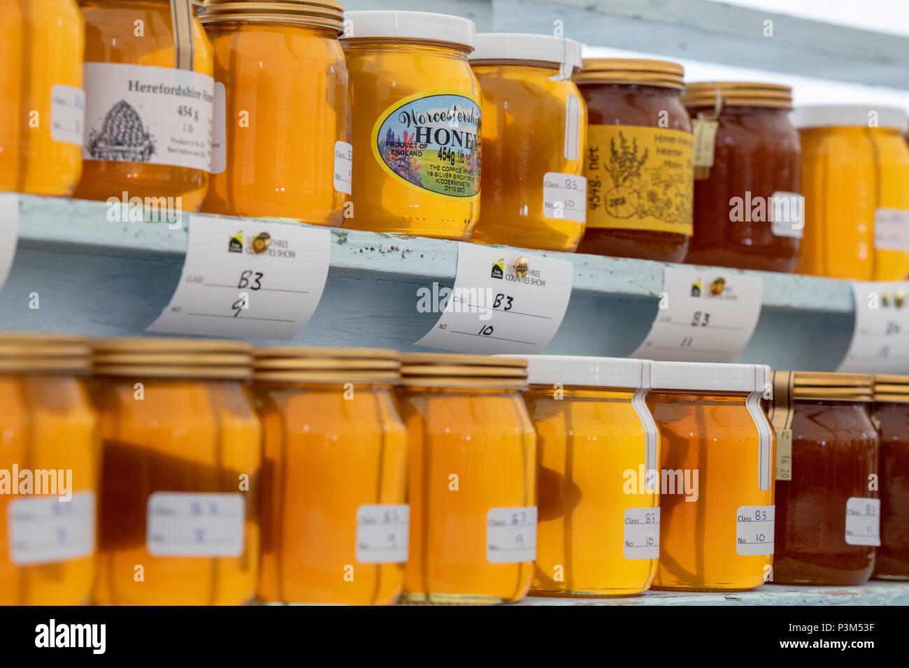 Barattoli di miele essendo giudicato a e spettacolo agricolo. Regno Unito Foto Stock