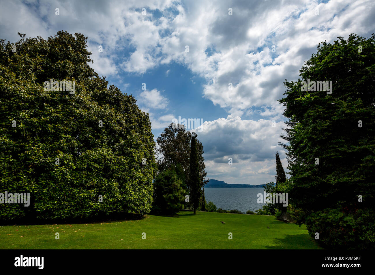 Bellissima vista sul verde giardino con grandi alberi e uccelli e pittoresca cielo nuvoloso a Isola Bella isola nel lago di Lago di Maggiore. L'Italia, primavera. Foto Stock