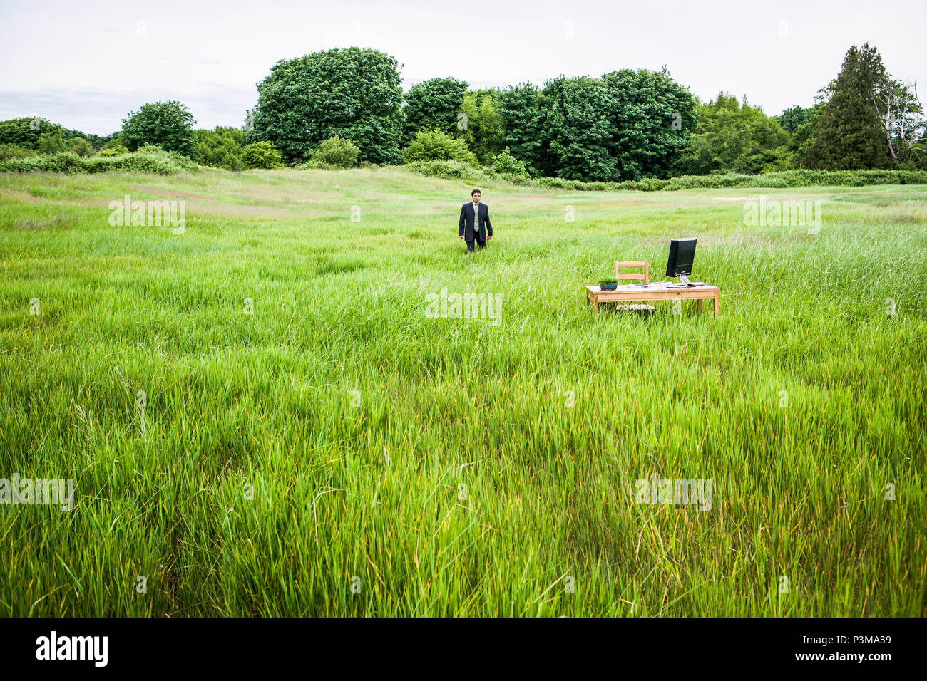 Un imprenditore a piedi attraverso un campo di erba verde verso una scrivania con un computer su di esso. Green Business concetto. Foto Stock