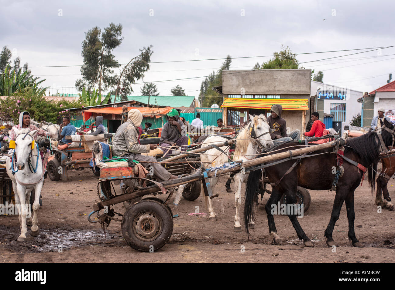 Carrello cavallo driver, accappatoio, Etiopia Foto Stock