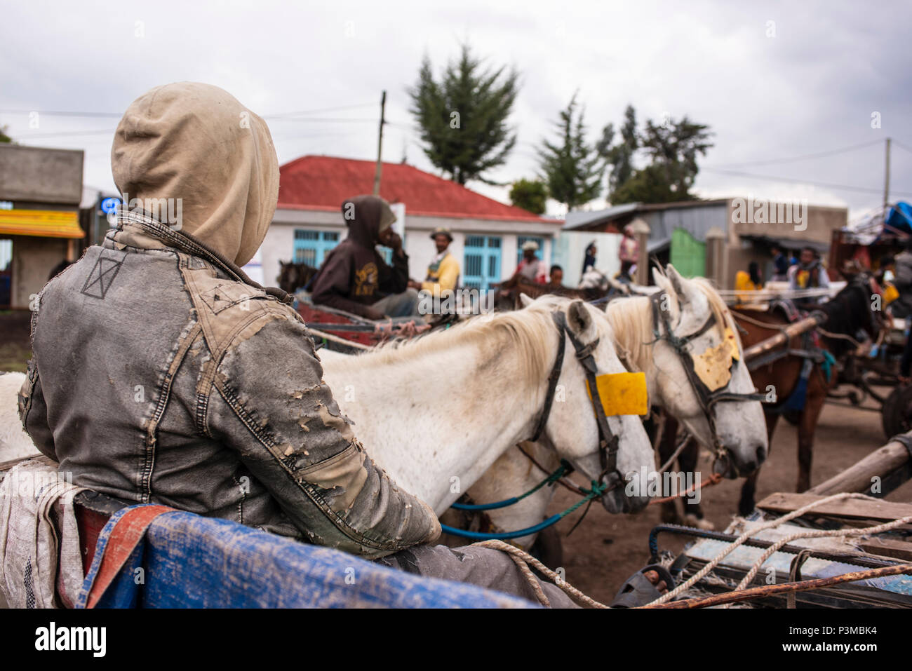 Carrello cavallo driver, accappatoio, Etiopia Foto Stock