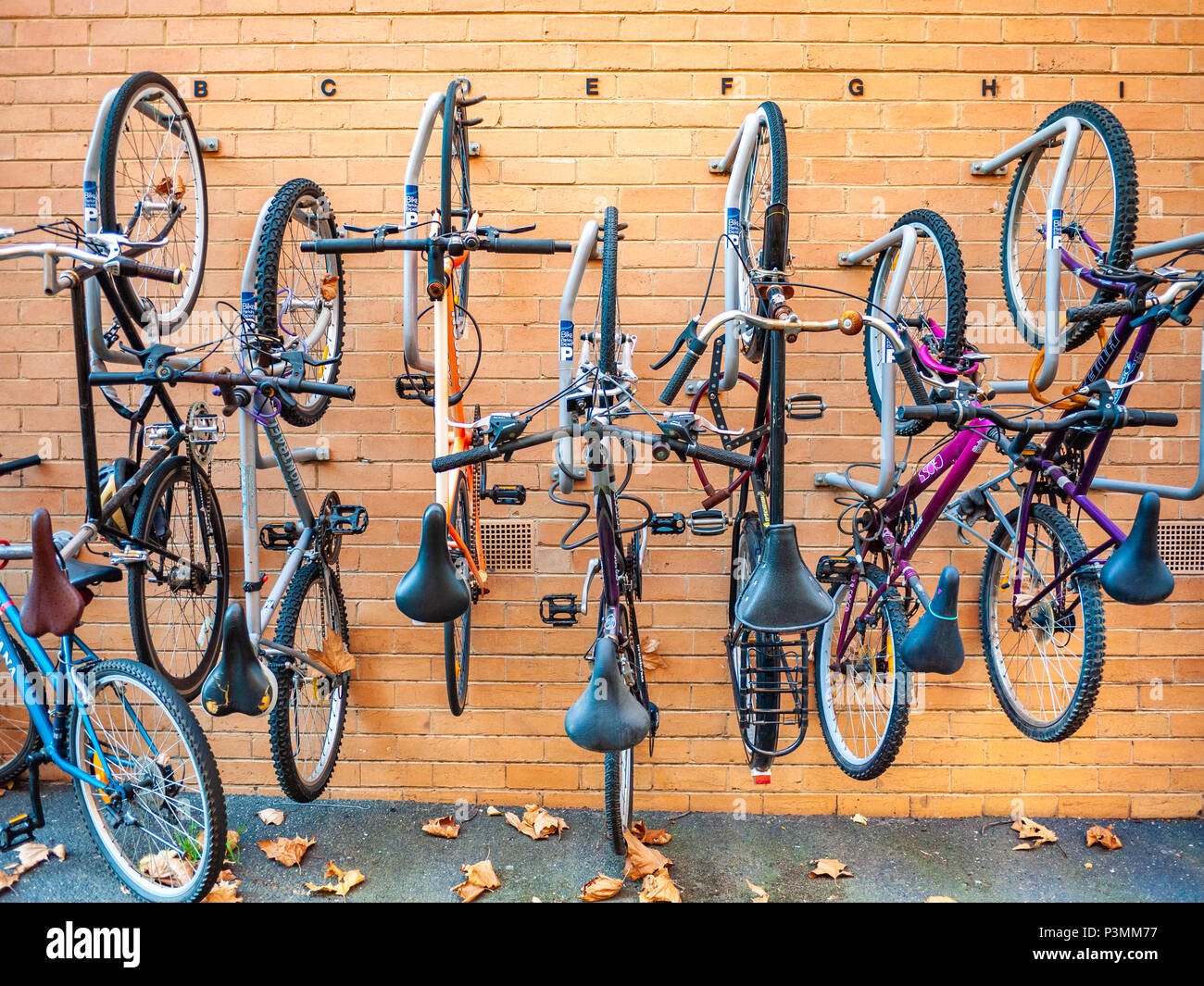 Biciclette appeso alla parete rack montato di appartamento residenziale unità. North Melbourne, VIC Australia. Foto Stock