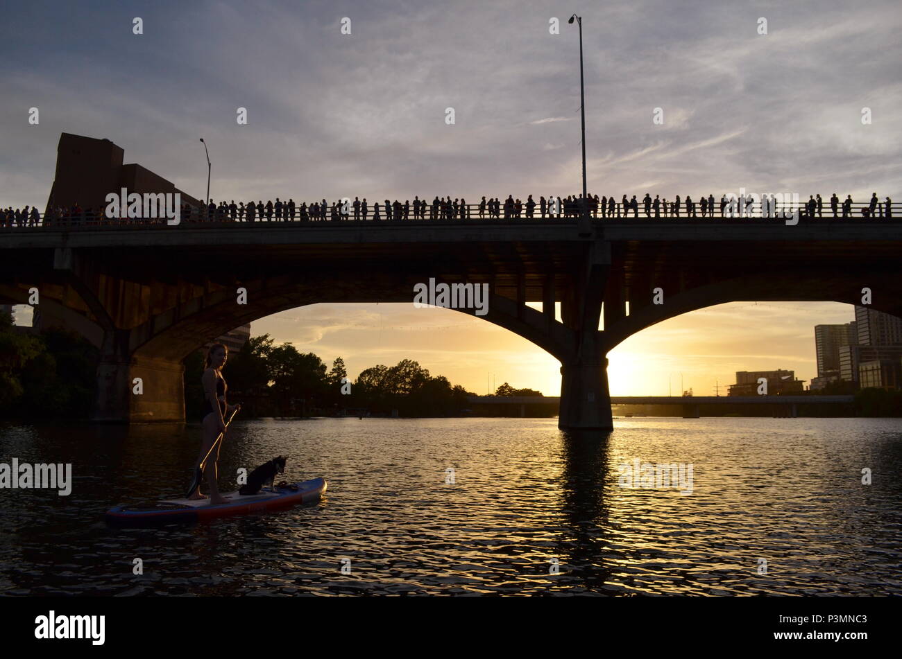 Due ragazze paddle boarding la sera per guardare il Congresso Ave pipistrelli emergono su Coccinella Lago di Austin, Texas. Foto Stock