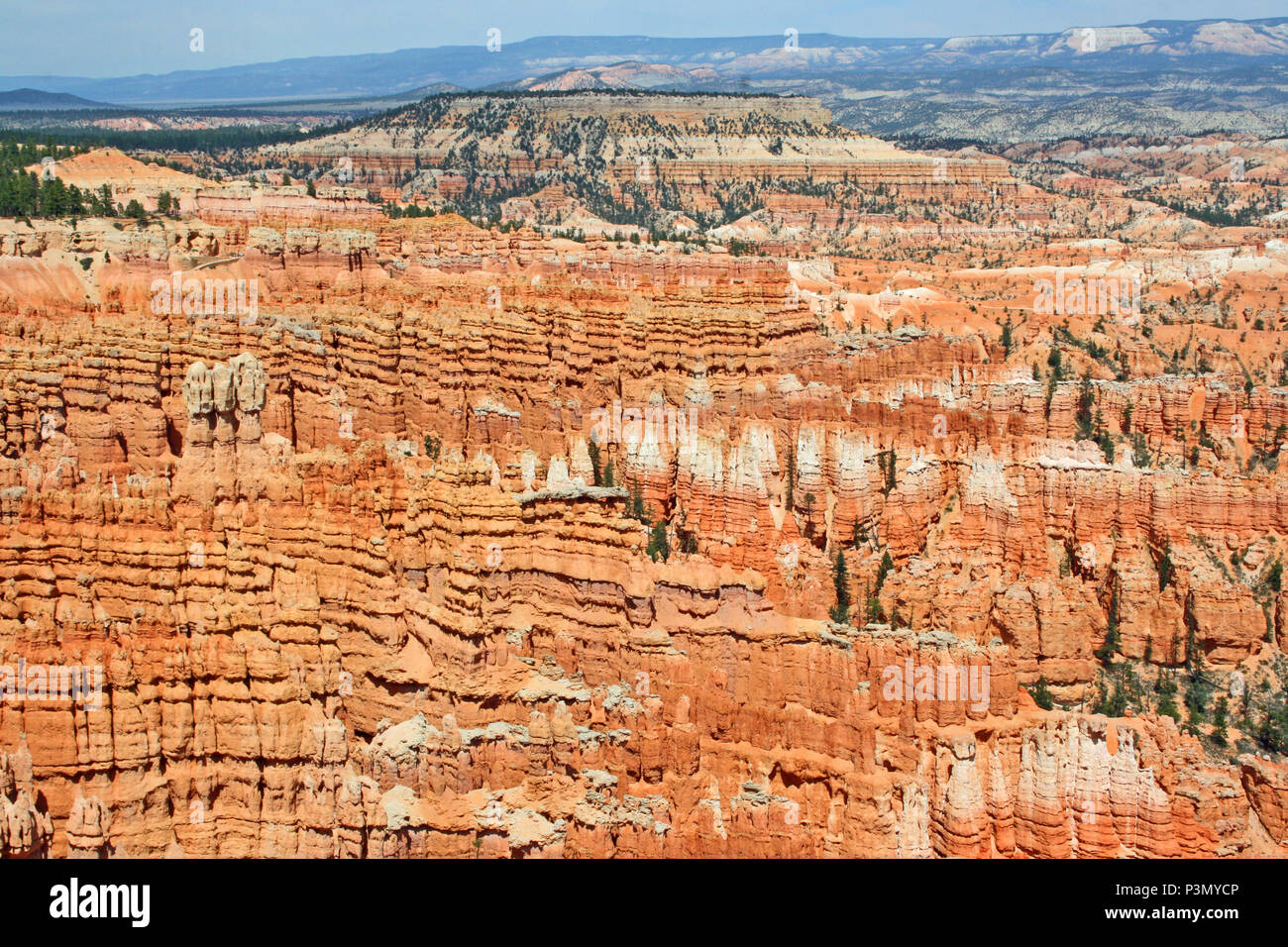 A strisce colorate hoodoos nel Bryce Canyon, Utah Foto Stock