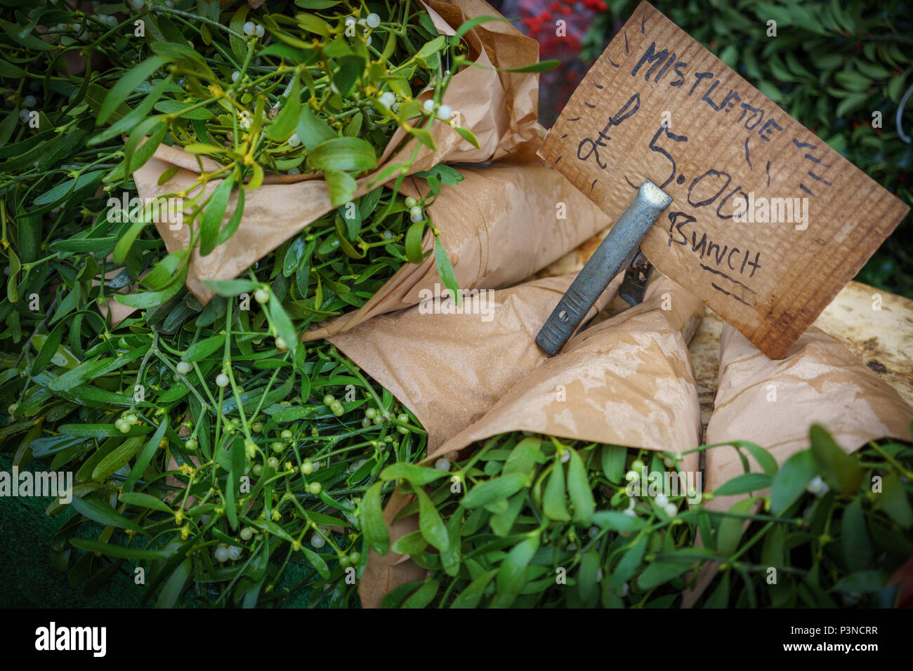 Mazzetti di vischio verde in vendita con il cartellino del prezzo. Impianto di natale. Concetto di vacanza. Formato orizzontale. Foto Stock