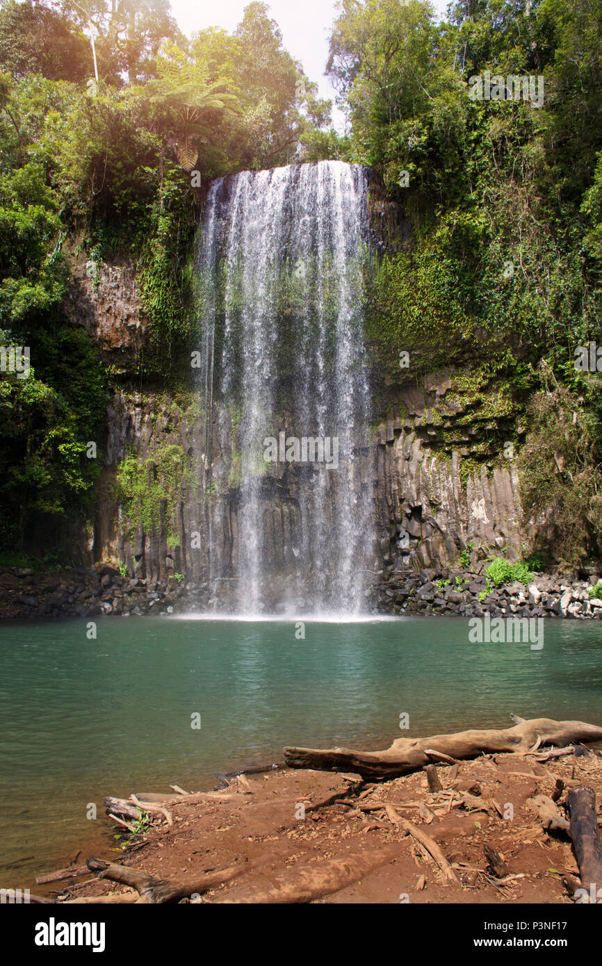 Cascata di acqua su una scogliera alla Millaa Milla cascata in Tropical North Queensland Australia vicino a Cairns Foto Stock