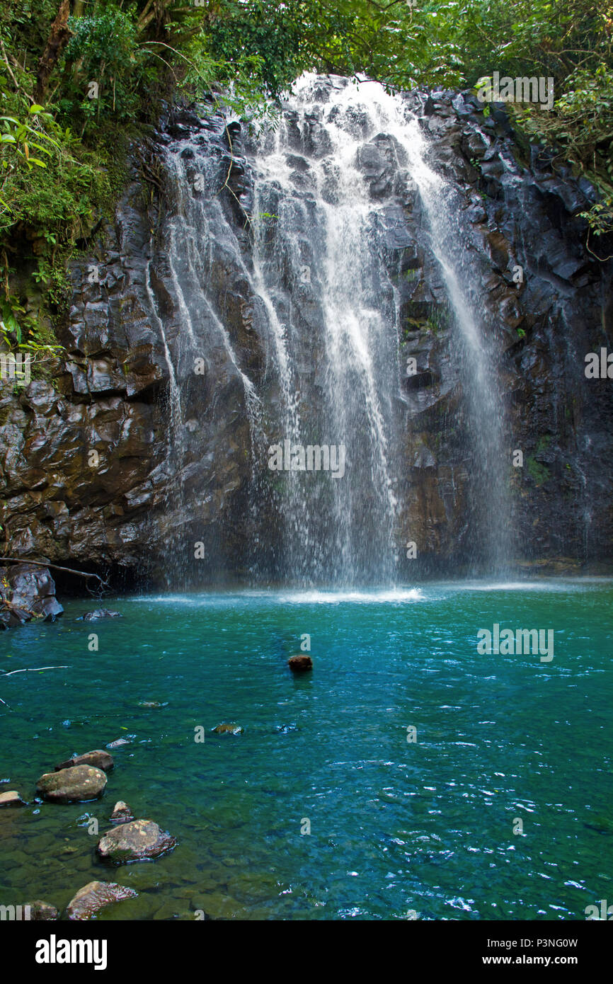 Bella cascata cascading su roccia in deep aqua acqua colorata circondata dalla giungla fitta foresta pluviale Foto Stock