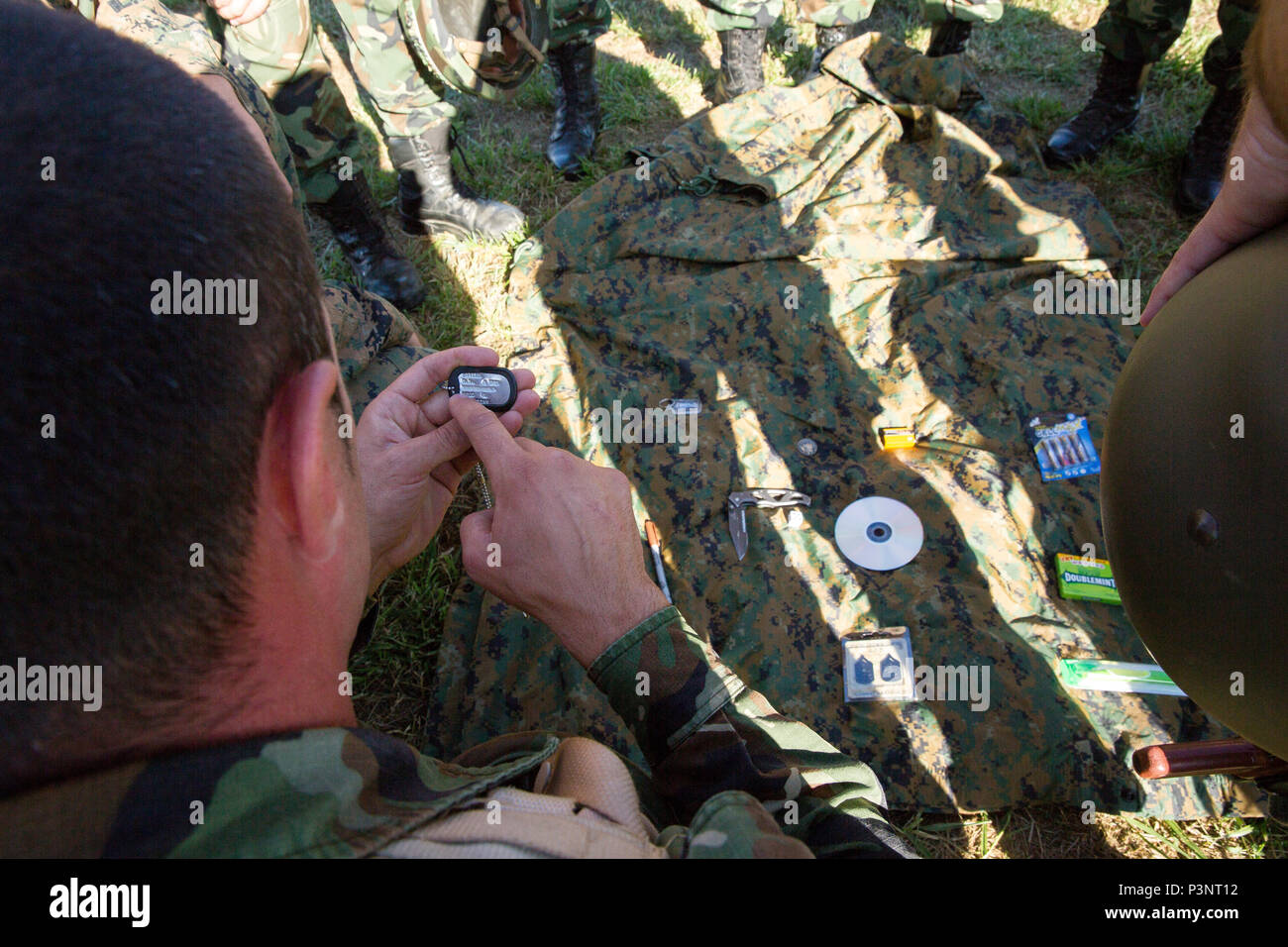 Il bulgaro rapidamente le forze di memorizzare le voci sul tarp come loro di partecipare in una squadra competizione endurance con gli alleati della NATO e partner durante la fase di esercizio di platino 16-4 Lion a bordo di Novo Selo Area Formazione, Bulgaria, 13 luglio 2016. Questo multi-nazionale esercizio riunisce otto la NATO e i paesi partner per un'esercitazione a fuoco e squad concorsi volti a rafforzare la difesa regionale in Europa Orientale. (U.S. Marine Corps foto di Cpl. Kelly L. Street, 2D MARDIV COMCAM/rilasciato) Foto Stock