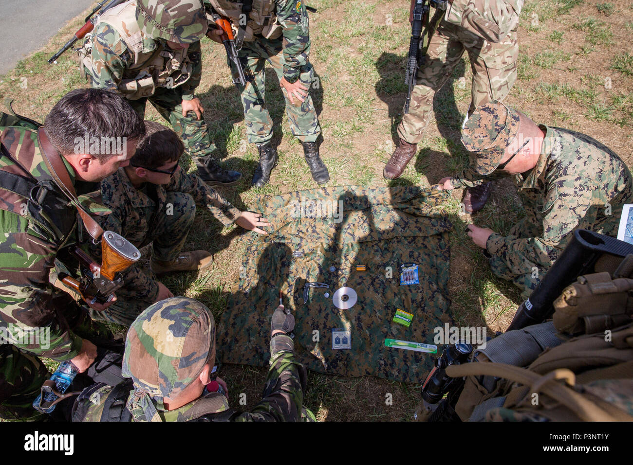 Gli alleati della NATO e i paesi partner di partecipare a un super squad concorrenza durante l'esercizio Platinum Lion 16-4 a bordo di Novo Selo Area Formazione, Bulgaria, 13 luglio 2016. Questo multi-nazionale esercizio riunisce otto la NATO e i paesi partner per un'esercitazione a fuoco e squad concorsi volti a rafforzare la difesa regionale in Europa Orientale. (U.S. Marine Corps foto di Cpl. Kelly L. Street, 2D MARDIV COMCAM/rilasciato) Foto Stock