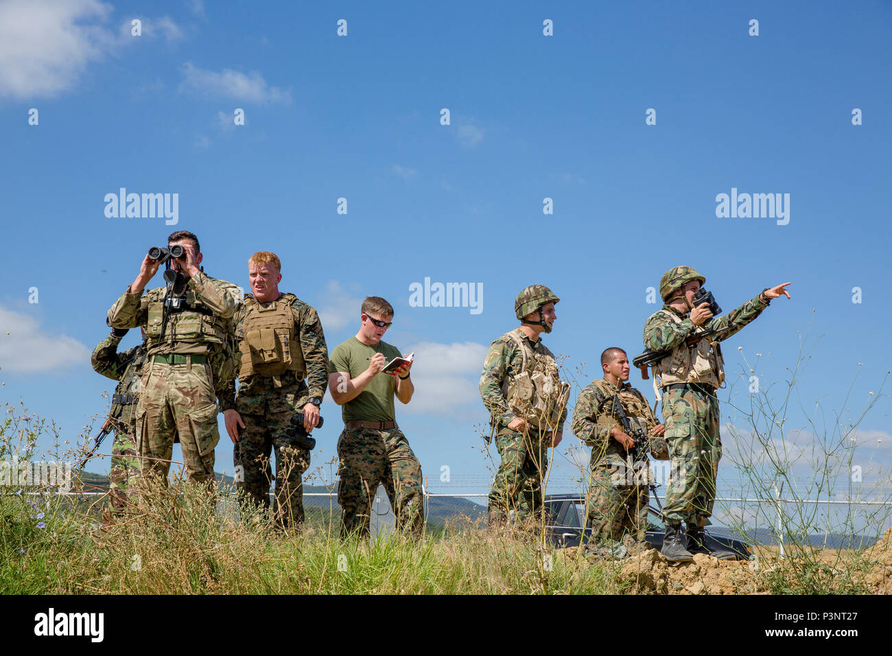 Una NATO "super squad" ricerca di oggetti nascosti durante l'esercizio Platinum Lion 16-4 a bordo di Novo Selo Area Formazione, Bulgaria, 13 luglio 2016. Questo multi-nazionale esercizio riunisce otto la NATO e i paesi partner per un'esercitazione a fuoco e squad concorsi volti a rafforzare la difesa regionale in Europa Orientale. (U.S. Marine Corps foto di Cpl. Kelly L. Street, 2D MARDIV COMCAM/rilasciato) Foto Stock