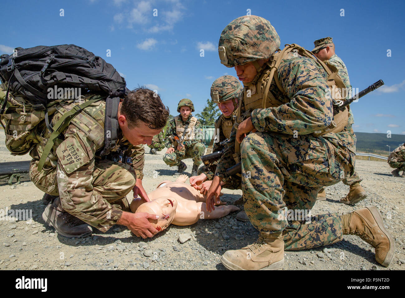 Gli alleati della NATO e i paesi partner partecipano in varie causalità esercitazioni di evacuazione durante l'esercizio Platinum Lion 16-4 a bordo di Novo Selo Area Formazione, Bulgaria, 13 luglio 2016. Questo multi-nazionale esercizio riunisce otto la NATO e i paesi partner per un'esercitazione a fuoco e squad concorsi volti a rafforzare la difesa regionale in Europa Orientale. (U.S. Marine Corps foto di Cpl. Kelly L. Street, 2D MARDIV COMCAM/rilasciato) Foto Stock