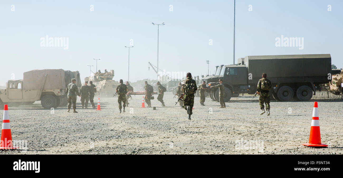 Forze di rumeni partecipano in un rapporto di causalità trapano di evacuazione durante l'esercizio Platinum Lion 16-4 a bordo di Novo Selo Area Formazione, Bulgaria, 14 luglio 2016. Questo multi-nazionale esercizio riunisce otto la NATO e i paesi partner per un live-fire esercizio finalizzato a rafforzare la difesa regionale in Europa Orientale. (U.S. Marine Corps foto di Cpl. Kelly L. Street, 2D MARDIV COMCAM/rilasciato) Foto Stock