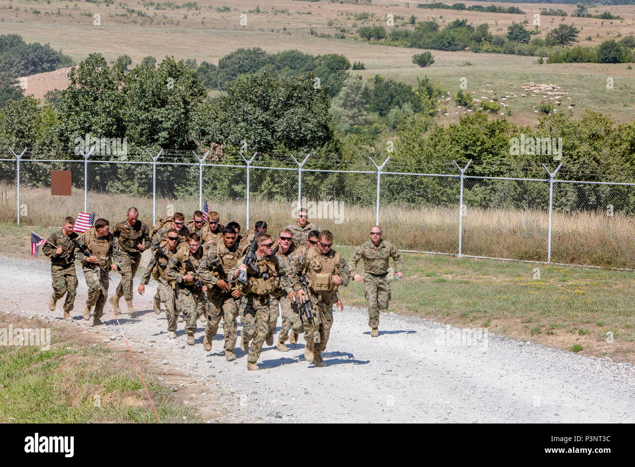 Stati Uniti Marines con il Mar Nero forza rotazionale di finire insieme come essi partecipano in una squadra endurance corso concorrenza durante l'esercizio Platinum Lion 16-4 a bordo di Novo Selo Area Formazione, Bulgaria, 14 luglio 2016. Questo multi-nazionale esercizio riunisce otto la NATO e i paesi partner per un live-fire esercizio finalizzato a rafforzare la difesa regionale in Europa Orientale. (U.S. Marine Corps foto di Cpl. Kelly L. Street, 2D MARDIV COMCAM/rilasciato) Foto Stock