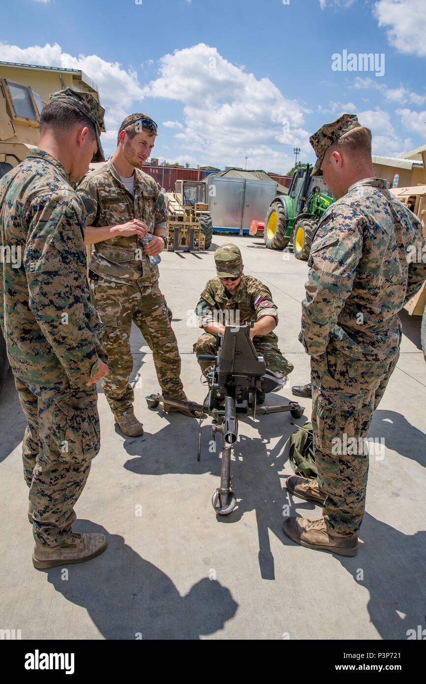 Stati Uniti, la NATO e i paesi partner di partecipare in una visualizzazione statica composta da veicoli, artiglieria e armi a condividere le conoscenze sulle funzionalità e costruire partnership durante l'esercizio Platinum Lion 16-4 a bordo di Novo Selo Area Formazione, Bulgaria, 11 luglio, 2016. Questo multi-nazionale esercizio riunisce otto la NATO e i paesi partner per un live-fire esercizio finalizzato a rafforzare la difesa regionale. (U.S. Marine Corps foto di Cpl. Kelly L. Street, 2D MARDIV COMCAM/rilasciato) Foto Stock