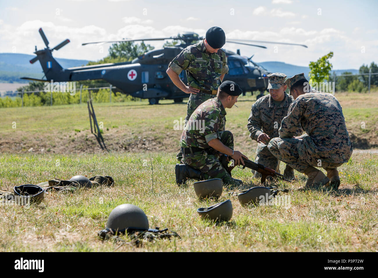 Stati Uniti e forze rumeno apprendere reciprocamente i fucili a canna rigata durante l'esercizio Platinum Lion 16-4 a bordo di Novo Selo Area Formazione, Bulgaria, 12 luglio, 2016. Questo multi-nazionale esercizio riunisce otto la NATO e i paesi partner per un live-fire esercizio finalizzato a rafforzare la difesa regionale in Europa Orientale. (U.S. Marine Corps foto di Cpl. Kelly L. Street, 2D MARDIV COMCAM/rilasciato) Foto Stock