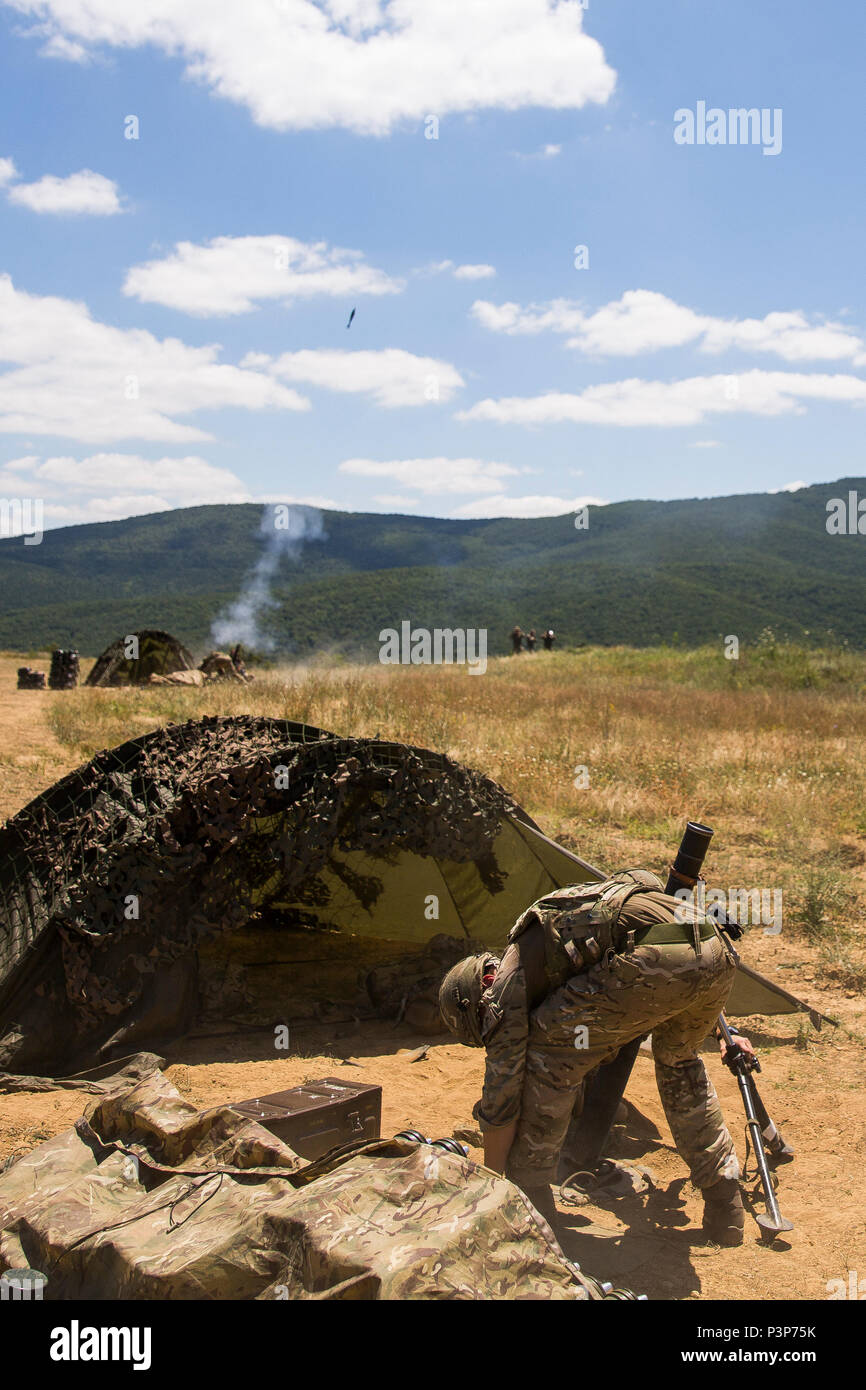 Royal Marine Commando fire High explosive tornate da 81mm tubi di mortaio durante l'esercizio Platinum Lion 16-4 a bordo di Novo Selo Area Formazione, Bulgaria, 12 luglio, 2016. Questo multi-nazionale esercizio riunisce otto la NATO e i paesi partner per un live-fire esercizio finalizzato a rafforzare la difesa regionale. (U.S. Marine Corps foto di Cpl. Kelly L. Street, 2D MARDIV COMCAM/rilasciato) Foto Stock