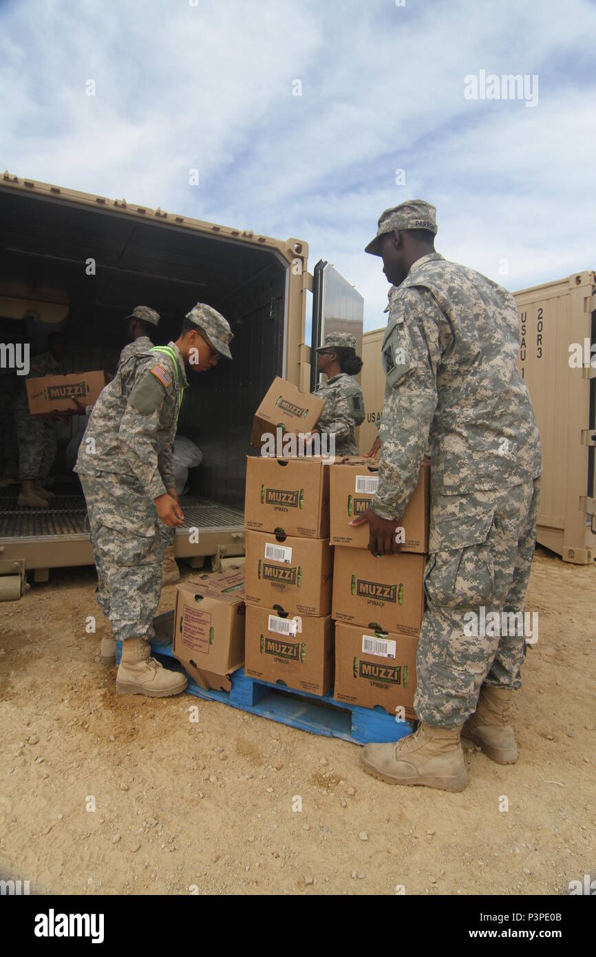 Soldati con la 282d Quartermaster società situata in Montgomery, Ala., residuo di carico le scorte di cibo in un frigorifero connex durante WAREX 86-16-03 formazione, luglio 19. Più di 92 unità da attraverso gli Stati Uniti La riserva di esercito, Esercito Guardia Nazionale ed esercito attivo partecipano WAREX. 84Comando di formazione del terzo e ultimo guerriero esercizio dell'anno, ospitato da la 86Divisione formazione. (U.S. La riserva di esercito foto di 1 Sgt. Timothy Prato, 205th premere il quartier generale di Camp) (U.S. La riserva di esercito foto di 1 Sgt. Timothy Prato, 205th premere Camp la sede centrale) Foto Stock