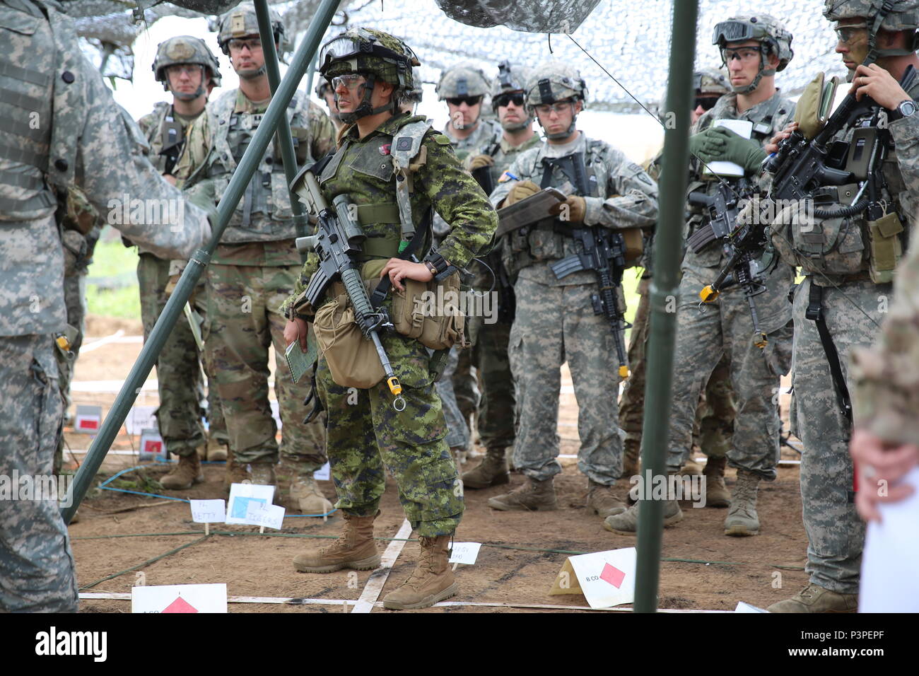 Il Mag. Chelsea Braybrook, commander, Bravo Company, 1° Battaglione, Principessa di Patricia luce canadese compagnia di fanteria partecipa al 1° Stryker Brigade Combat, XXV divisione di fanteria Team analisi della missione breve durante #ArcticAnvil a Donnelly Area Formazione, Alaska Luglio 20. Foto Stock