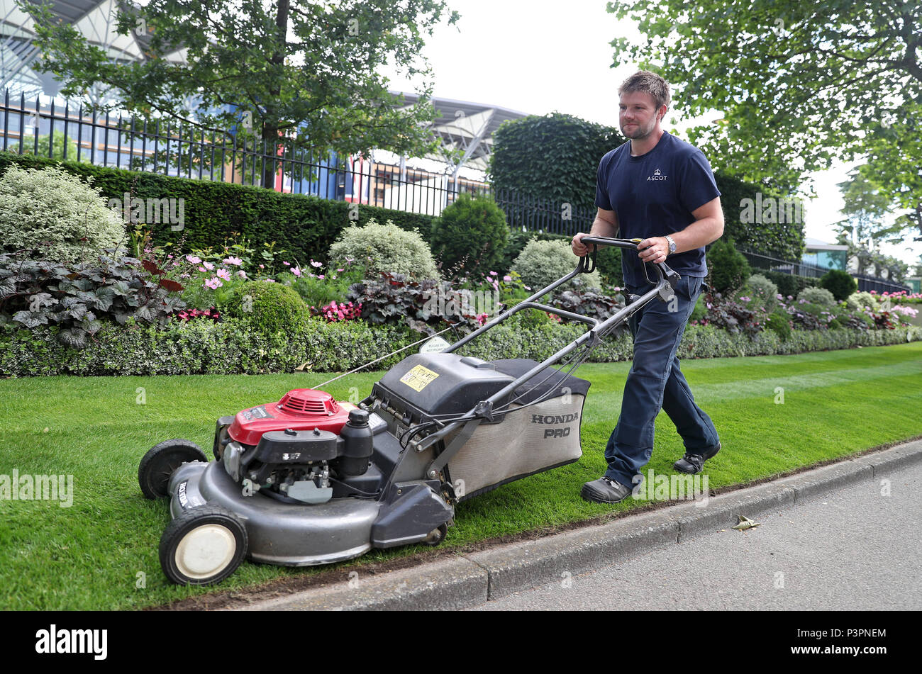 Un groundsman taglia l'erba a Ascot Racecourse davanti a giorno uno del Royal Ascot riunione. Foto Stock