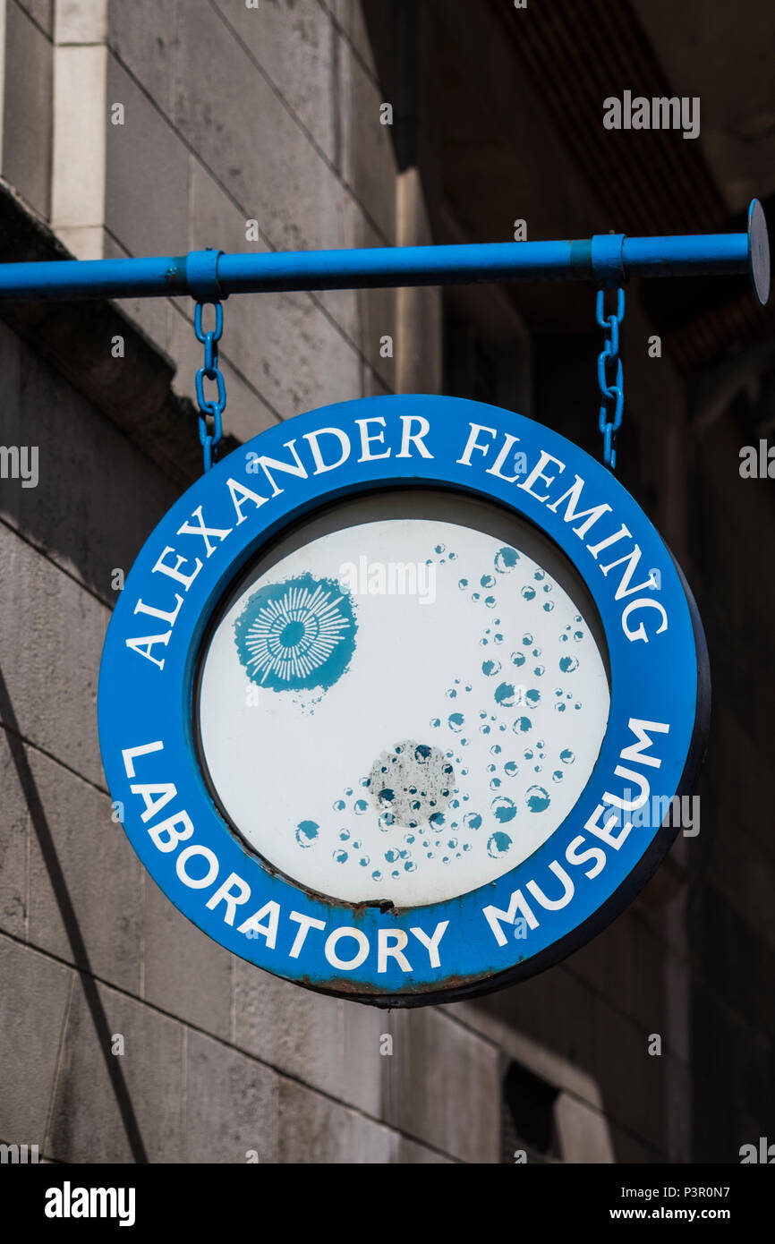 Alexander Fleming laboratory museum, St.Mary s Hospital di Londra, Inghilterra, Regno Unito Foto Stock