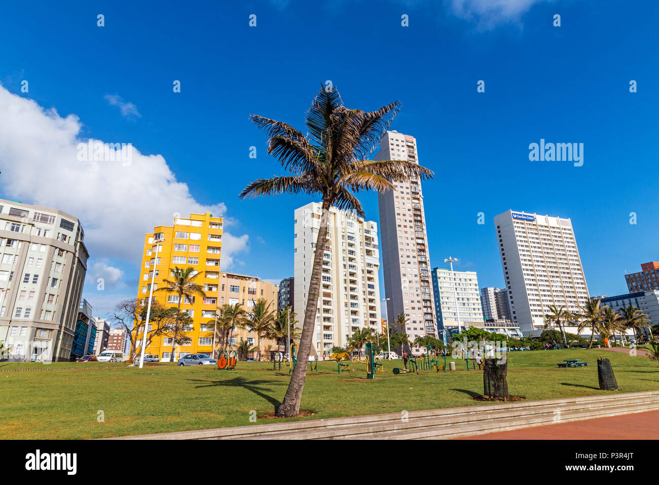 DURBAN, Sud Africa - 12 marzo , 2018: molti la mattina presto i visitatori su erba orlo con Palm tree contro blu nuvoloso città sulla spiaggia di Durban cityscape Foto Stock