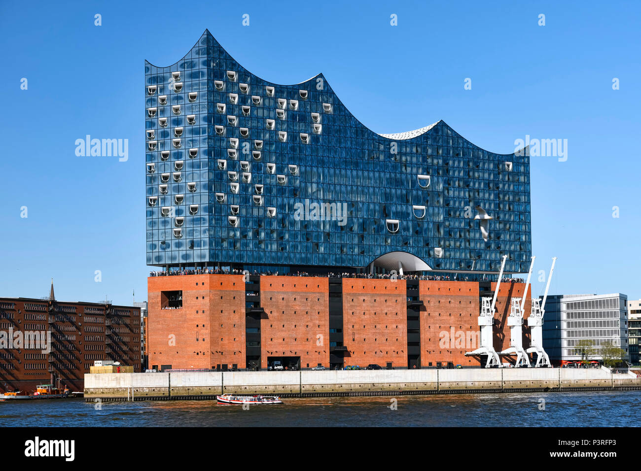 Elba filarmonica di Amburgo, Germania, Europa Elbphilharmonie di Amburgo, Deutschland, Europa Foto Stock