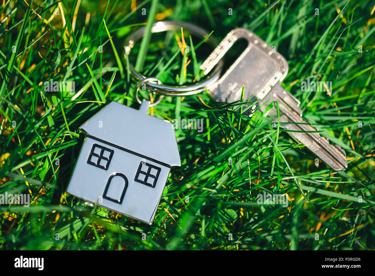 Porta con chiave di casa anello in erba, Real Estate, Türschlüssel mit Haus-Schlüsselanhänger im Gras, Immobilien Foto Stock