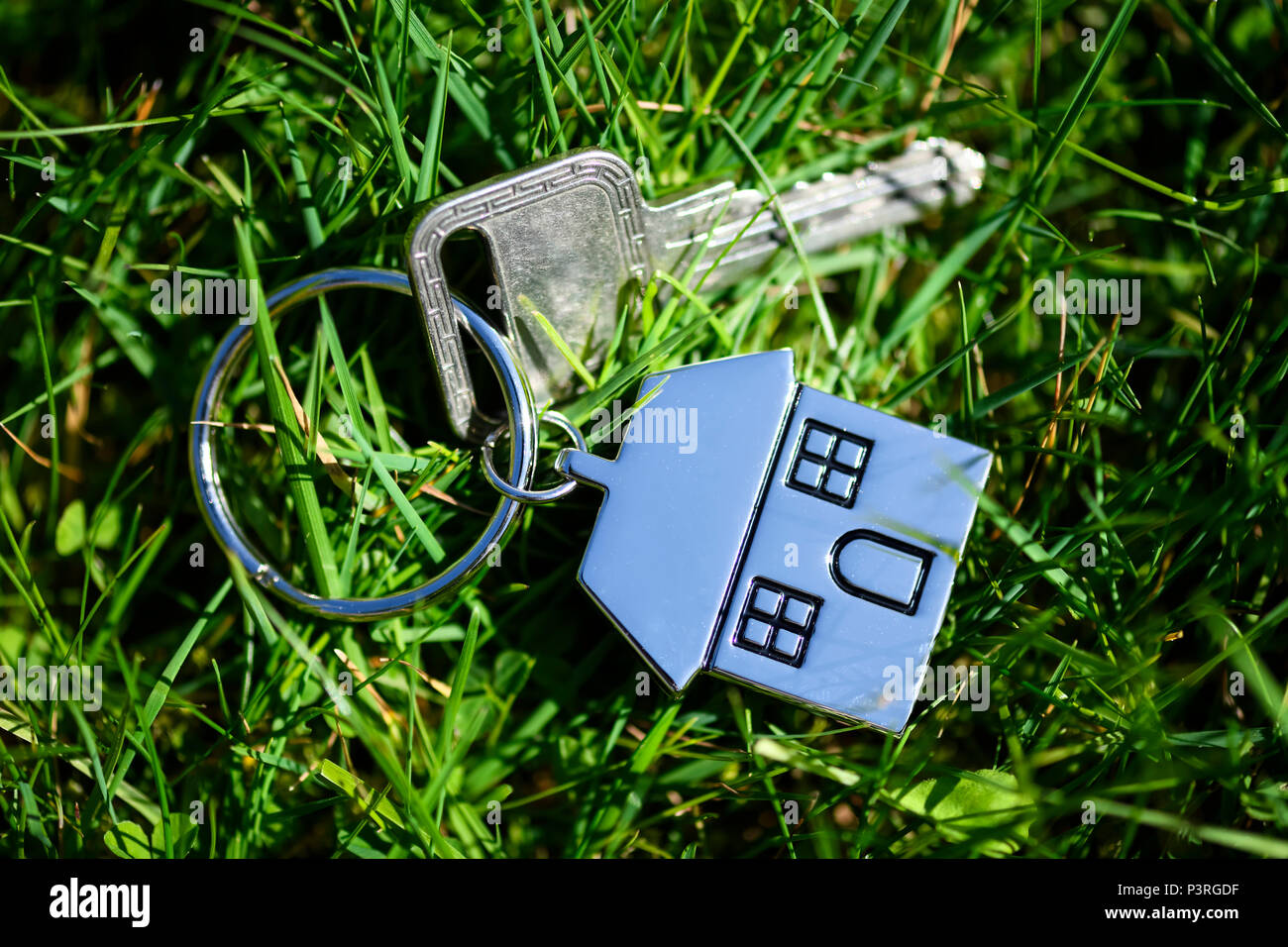 Porta con chiave di casa anello in erba, Real Estate, Türschlüssel mit Haus-Schlüsselanhänger im Gras, Immobilien Foto Stock