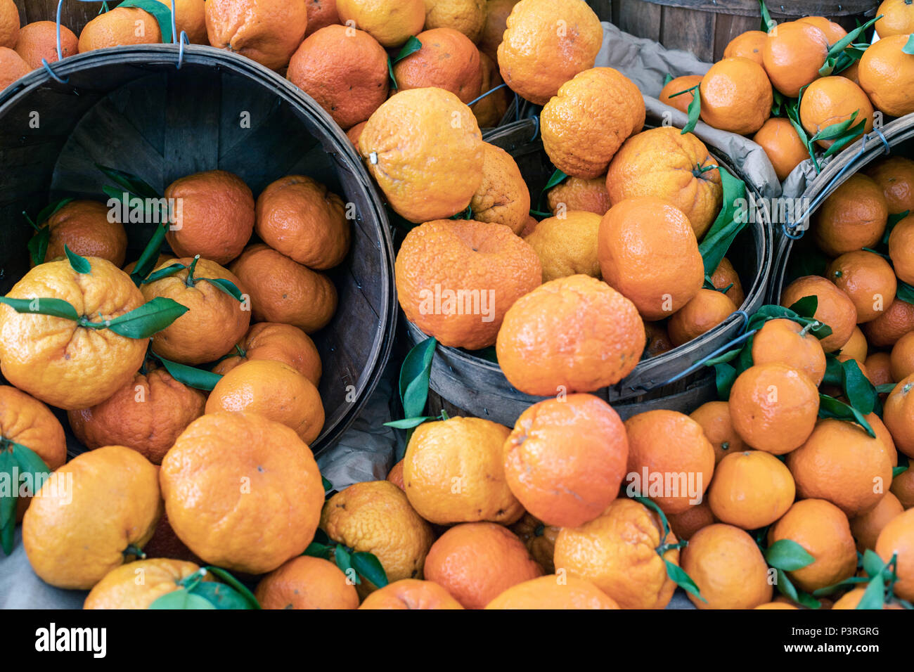Paradiso di agrumi: arance e pompelmi in un pittoresco cestelli Foto Stock