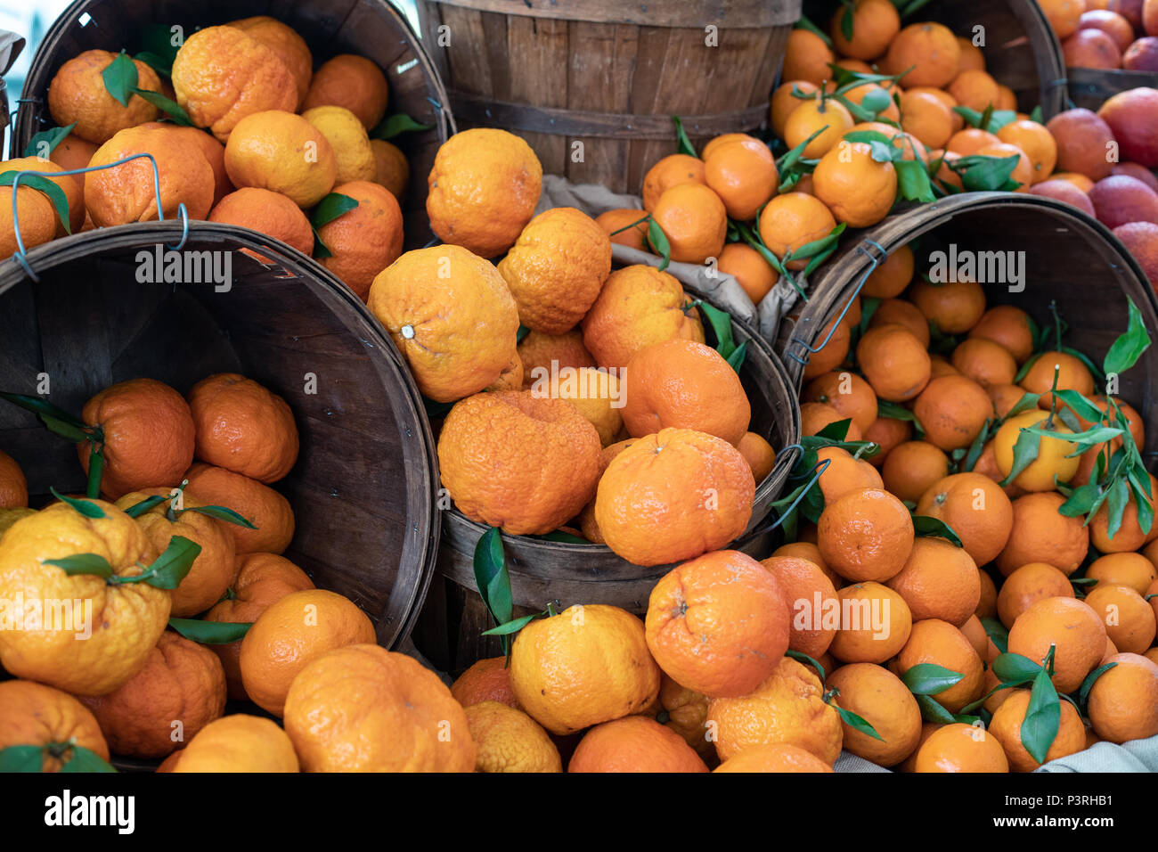 Paradiso di agrumi: arance e pompelmi in un pittoresco cestelli Foto Stock