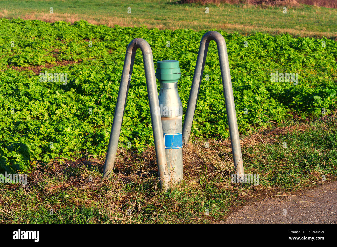 Acqua macinata sito di raccolta su un campo. Tubo con coperchio per il controllo delle acque sotterranee. Foto Stock