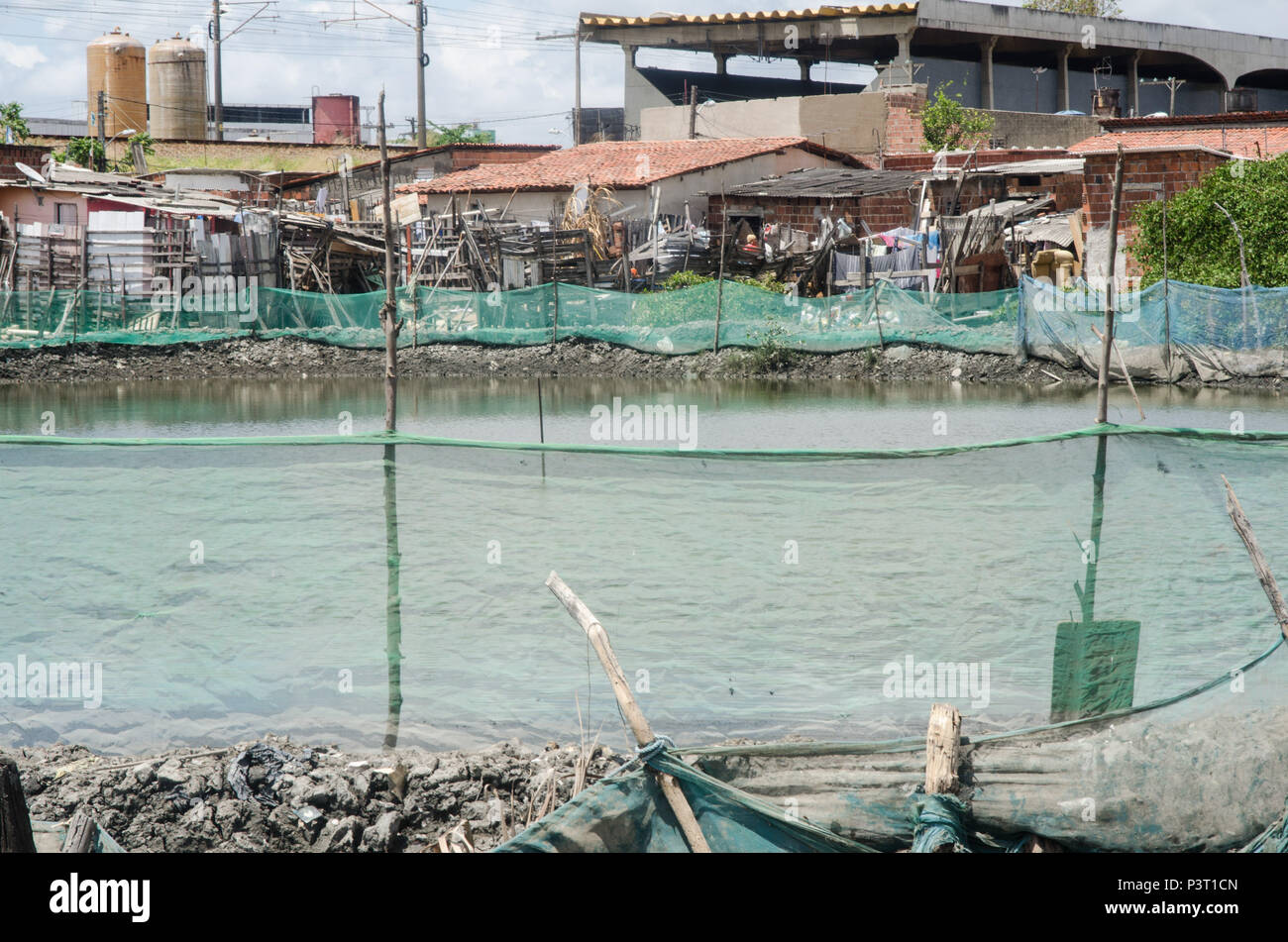 RECIFE, PE - 20.10.2015: FAVELA DO BUEIRO NO RECIFE - Viveiro de peixes do Rio Capibaribe, na comunidade carente fare Bueiro, assenza di Recife (PE). (Foto: Diego Herculano / Fotoarena) Foto Stock