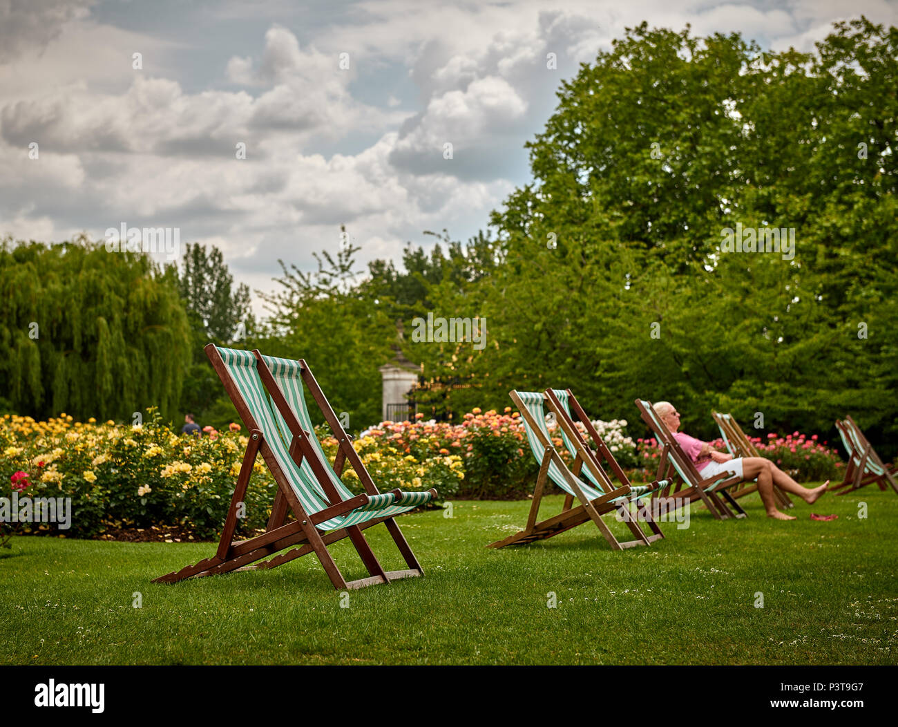 Un panorama di sedie a sdraio e giardino delle rose in London REGNO UNITO Foto Stock
